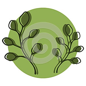 Eco style illustration with two twigs