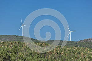 Eco Theme, landscape, wind turbines horizon