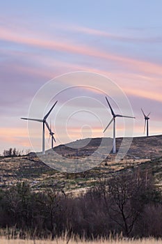 Eco Theme, wind turbines