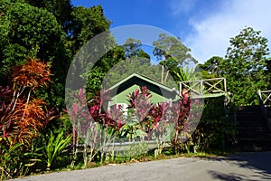 Eco tourism homestay - cottage beside jungle