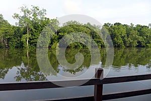 Eco tourism - Resort balcony with tropical river view