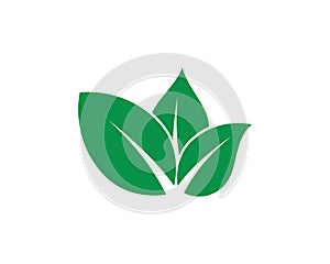 Eco Tree Leaf Logo shutterstock