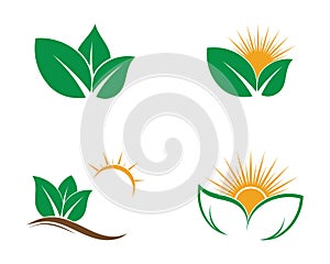Eco Tree Leaf Logo shutterstock photo