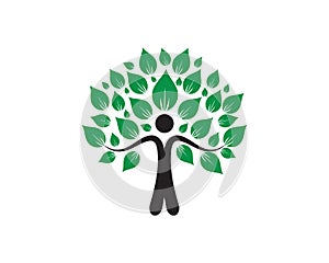 Eco Tree Leaf Logo shutterstock photo