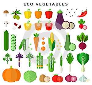 Eco vegetables, colorful flat style set. Fresh organic food. Vector illustration, isolated on white.