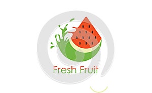 Eco waermelon fruit logo vector image illustration