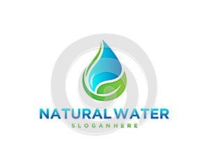 Eco Water drop leaf logo design.