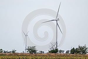 Eco wind electro generators rotating in field