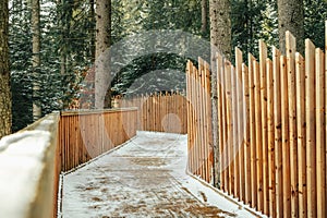 Eco wooden alley in winter forest. Beautiful bridge in snowy scenery, nobody.