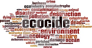 Ecocide word cloud