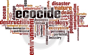 Ecocide word cloud