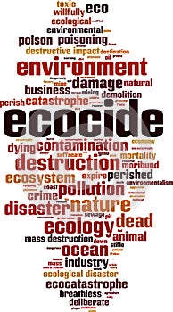 Ecocide word cloud