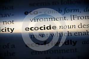 Ecocide