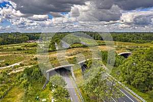 Ecoduct wildlife crossing