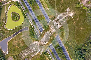 Ecoduct wildlife crossing