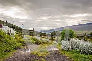 Ecofarm Cotopaxi National Park photo