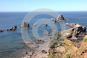 Ecola state park, Oregon coast & Pacific ocean.