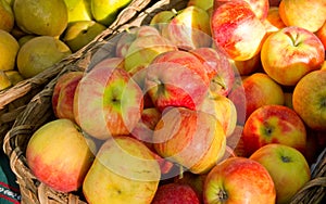 Ecological apples
