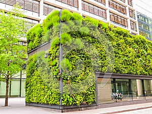 Ecological architecture, green living facade of the building