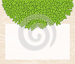 Ecological background