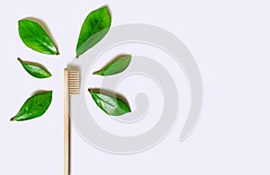 Ecological bamboo toothbrush and fresh green leaves on a white isolated background