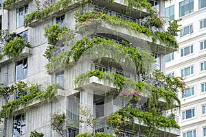 Ecological buildings facade with green plants and flowers on stone wall of the facade of the house on the street of Danang,