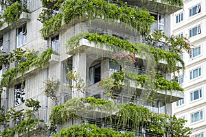 Ecological buildings facade with green plants and flowers on stone wall of the facade of the house on the street of Danang,