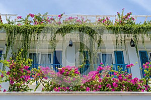 Ecological buildings facade with green plants and flowers on stone wall of the facade of the house on the street of Danang,