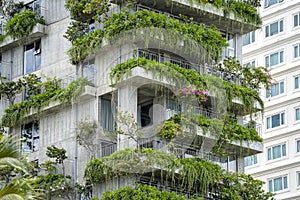 Ecological buildings facade with green plants and flowers on stone wall of the facade of the house on the street of Danang,