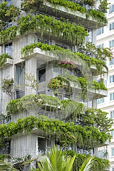 Ecological buildings facade with green plants and flowers on stone wall of the facade of the house on the street of Danang,