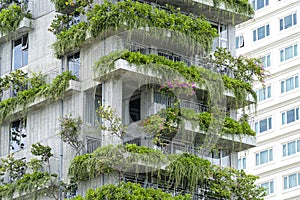 Ecological buildings facade with green plants and flowers on stone wall of the facade of the house on the street of Danang,