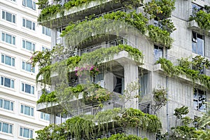 Ecological buildings facade with green plants and flowers on stone wall of the facade of the house on the street of Danang,