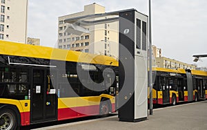 ecological buses in the city