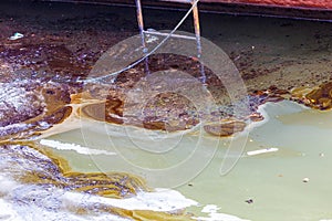 Ecological catastrophy. Close-up. Spill of oil products into the sea. photo