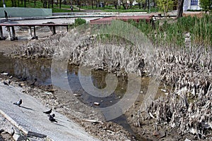 Ecological catastrophy. Drying lake in city park. Dry swamp lake disappears, idea and concept of environmental conservation,