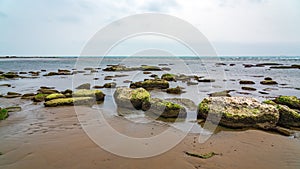 Ecological catastrophy. Drying shallow Caspian Sea