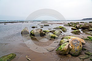 Ecological catastrophy. Drying shallow Caspian Sea