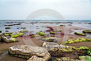 Ecological catastrophy. Drying shallow Caspian Sea