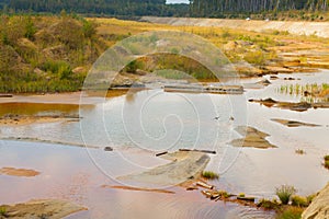 Ecological catastrophy in mud sand quarry