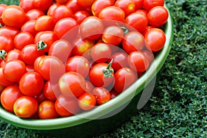Ecological cherry tomatoes in a basin