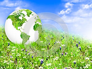 Ecological concept of the environment with the cultivation of trees . Planet Earth. Physical globe of the earth