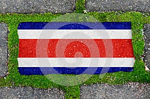 On the sidewalk in green moss, paving slabs with the image of the flag of Costa Rica.