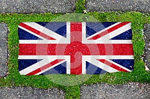 On the sidewalk in green moss, paving slabs with the image of the flag of Great Britain.