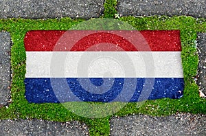 On the sidewalk in green moss, paving slabs with the image of the flag of the Netherlands.