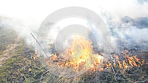 Ecological destruction concept, grass fire