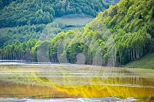 Ecological disaster: cyanide pollution at Geamana Lake near Rosia Montana, Romania