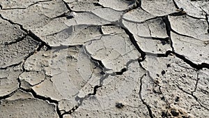 Ecological disaster, drawing of dry land