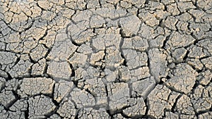 Ecological disaster, drawing of dry land