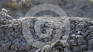 Ecological disaster, drawing of dry land