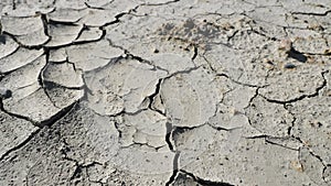 Ecological disaster, drawing of dry land